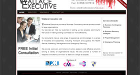Wallace Executive Ltd Website Design