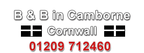 B & B Camborne 01209 712460